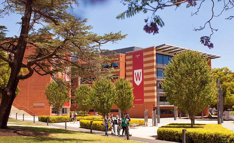 西雪梨大學 | WSU 2023年國際學生獎學金